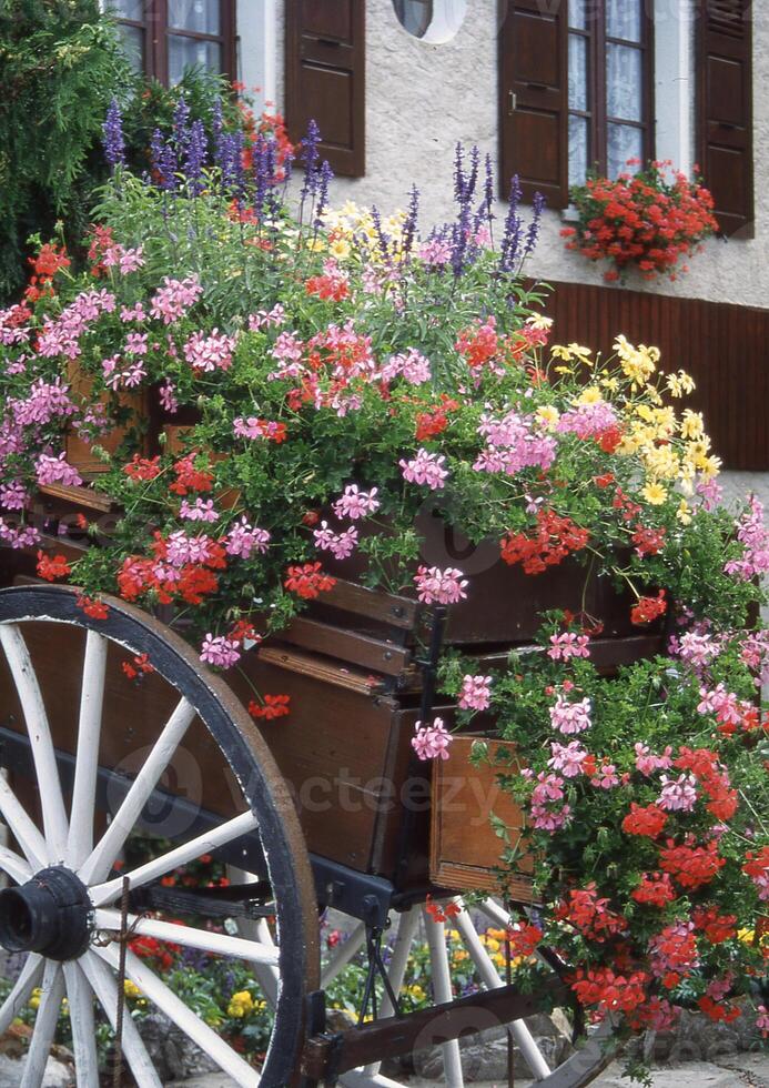 ein Wagen gefüllt mit Blumen ist geparkt im Vorderseite von ein Haus foto