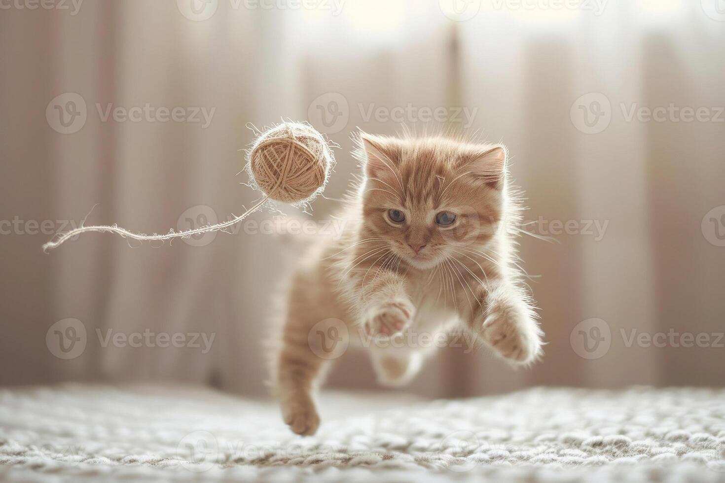 spielerisch Kätzchen Springen mit ein Ball von Garn, Mitte Aktion Schuss, feiern International Katze Tag foto
