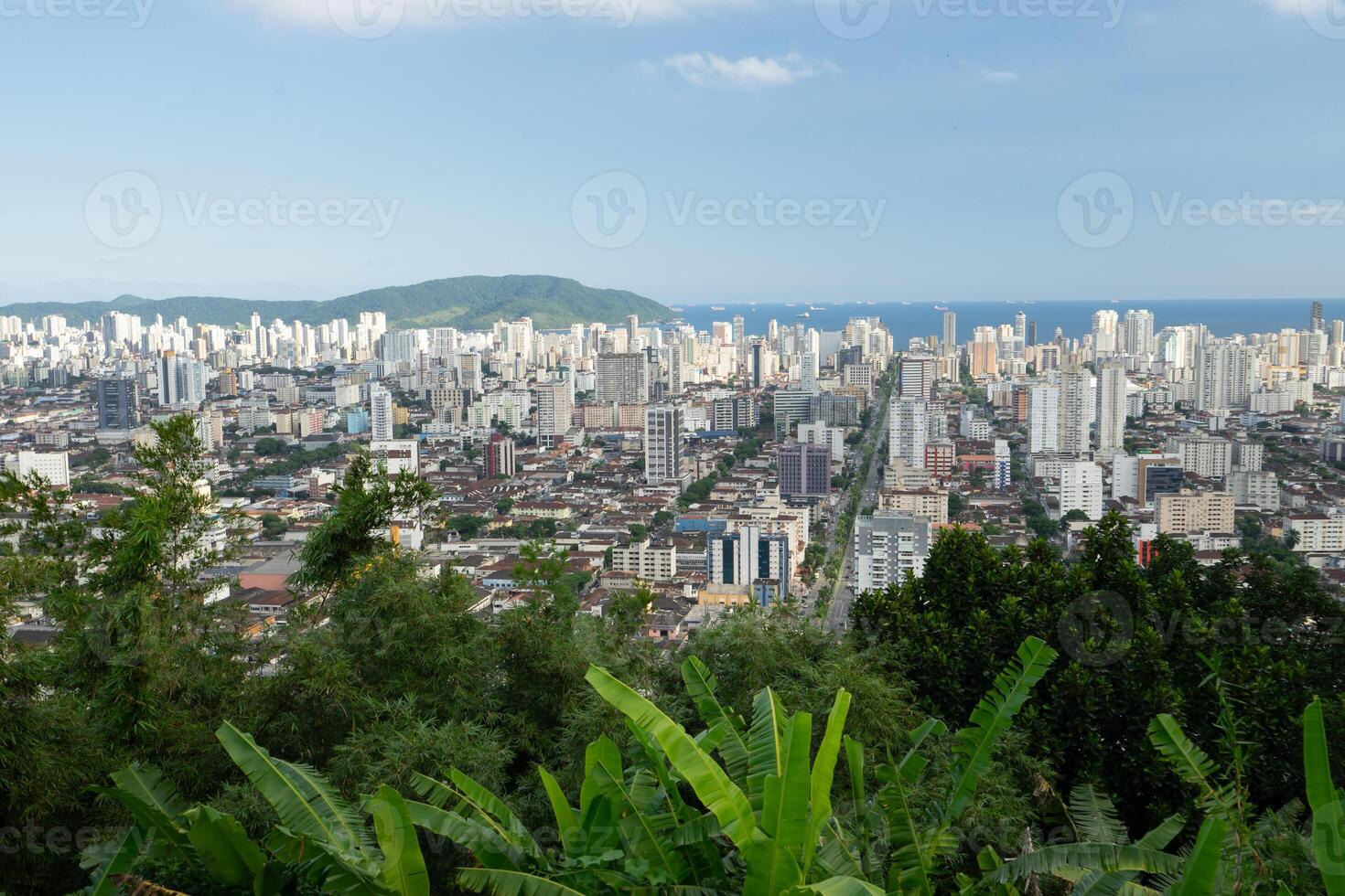 das Horizont von Santos mit Bäume im das Vordergrund. Santos, Brasilien. foto