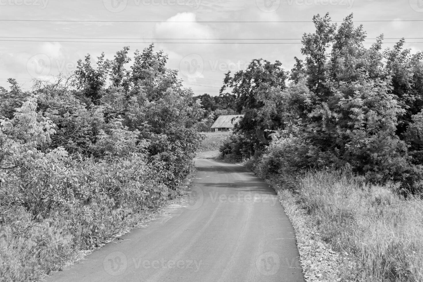 schön leeren Asphalt Straße im Landschaft auf Licht Hintergrund foto