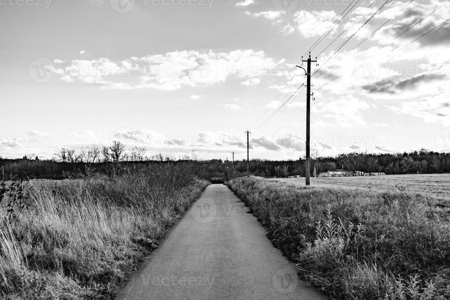 schöne leere Asphaltstraße in der Landschaft auf farbigem Hintergrund foto