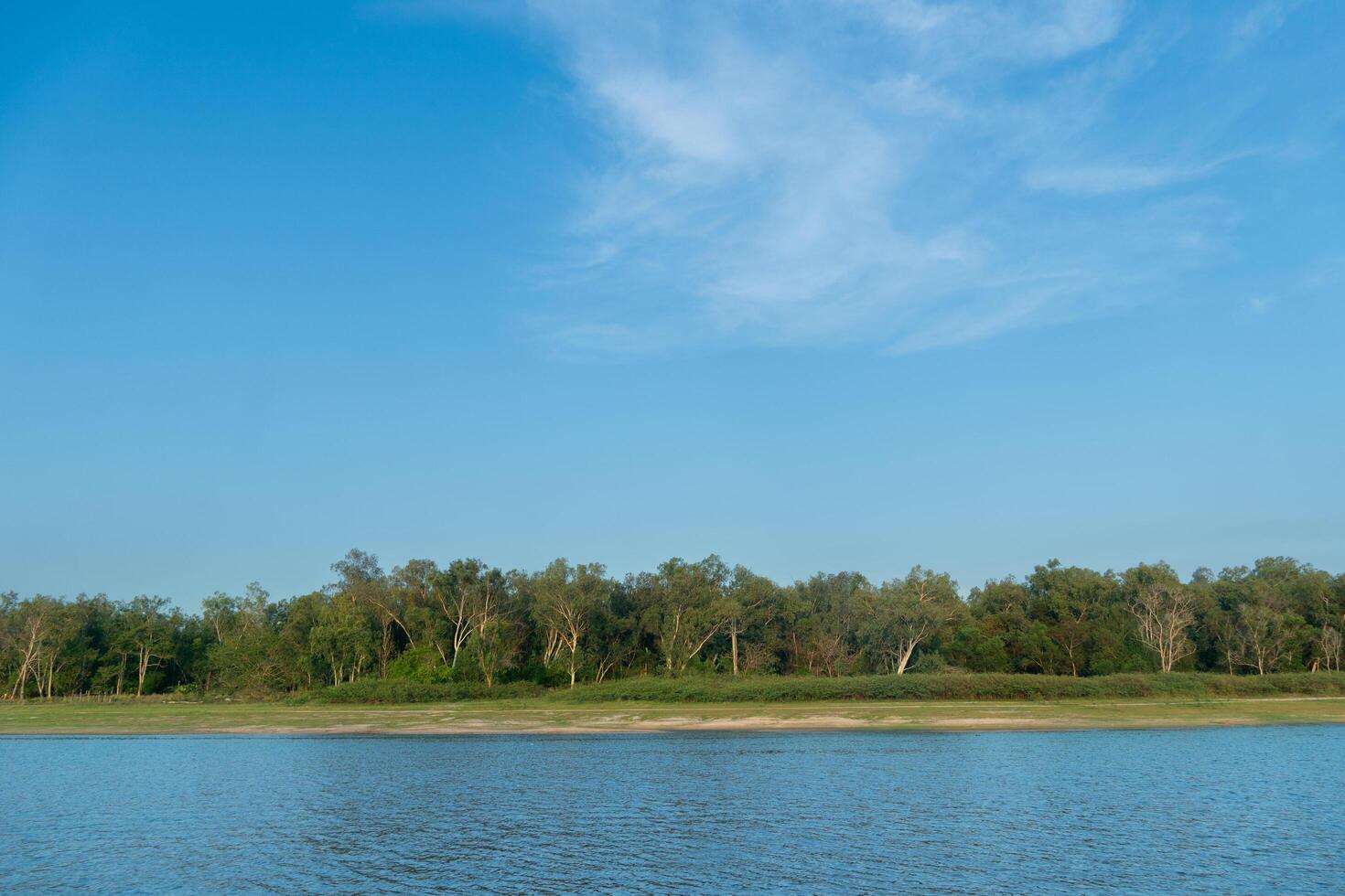 horizontal und Landschaft Aussicht von Fluss. mit Hintergrund von Küste ist bedeckt mit Gras und Wälder. unter Blau Himmel und Sanft Weiß Wolken. foto