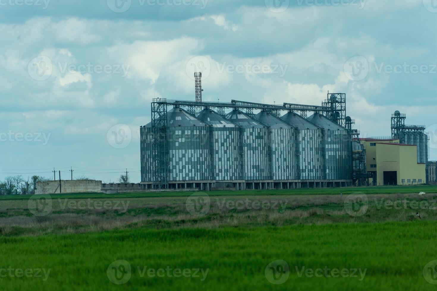 Getreidespeicher Aufzug, Silber Silos auf Agro Herstellung Pflanze zum wird bearbeitet Trocknen Reinigung und Lager von landwirtschaftlich Produkte, Mehl, Getreide und Getreide. ein Feld von Grün Weizen. foto