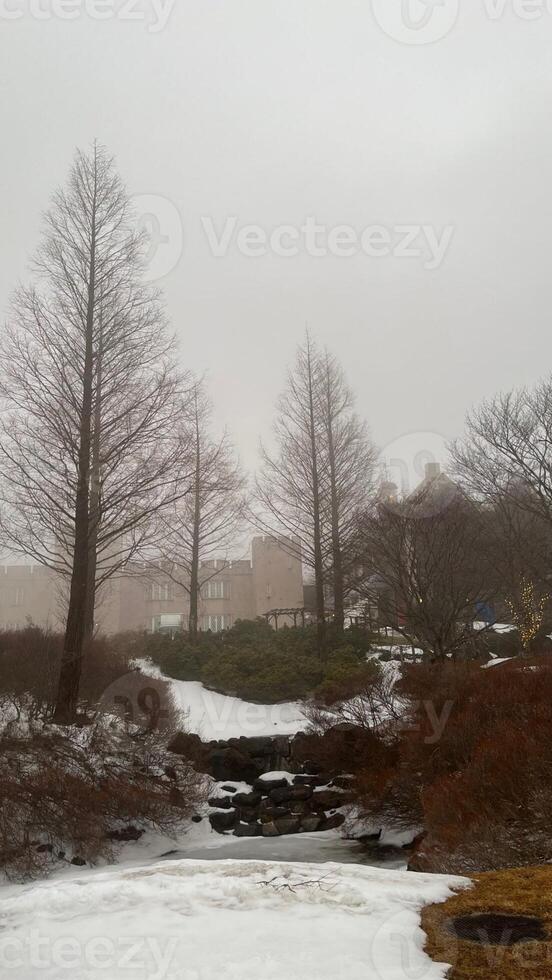 Winter im Japan britisch Hügel foto