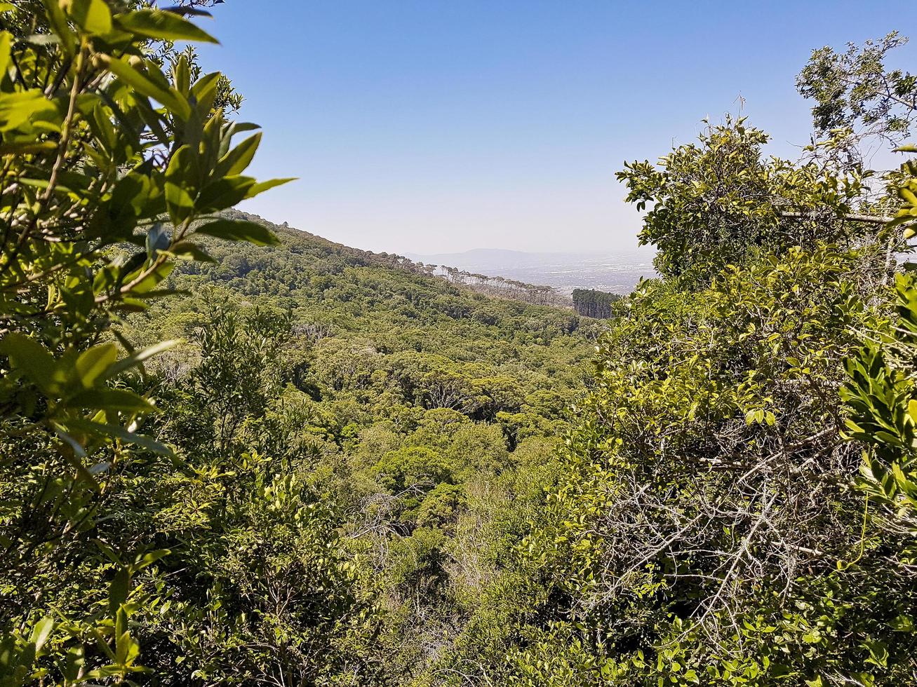 Blick vom Tafelberg in Kapstadt nach Claremont. foto