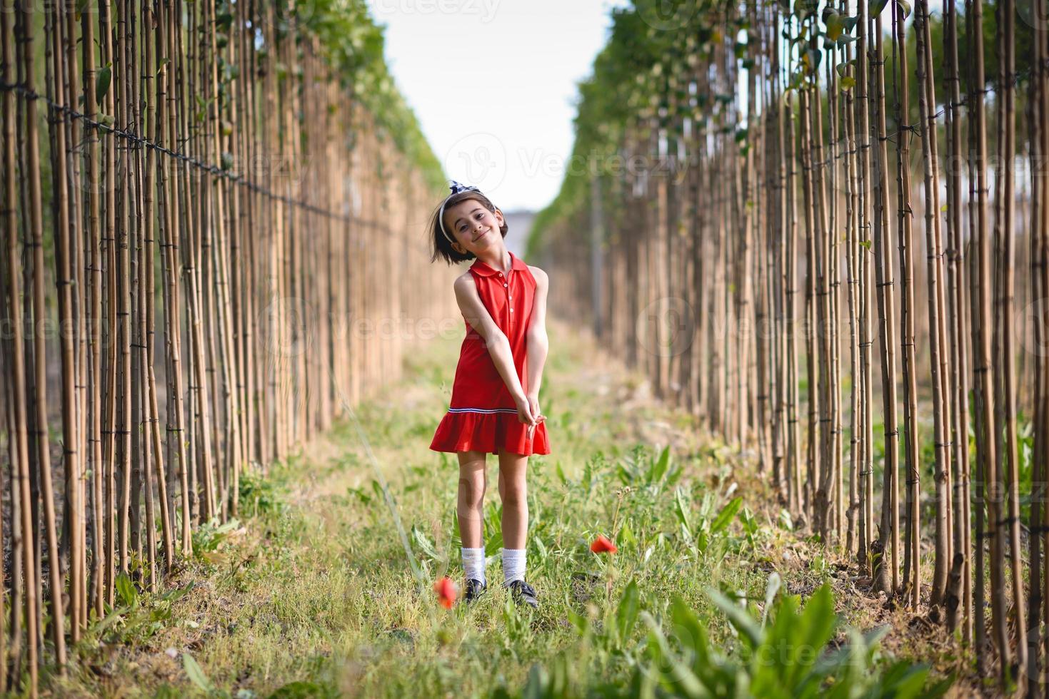 kleines Mädchen, das auf dem Naturfeld spazieren geht und ein schönes Kleid trägt foto