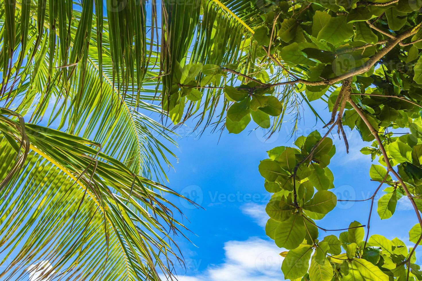 fantastisch schöner Panoramablick vom Silver Beach Koh Samui Thailand. foto