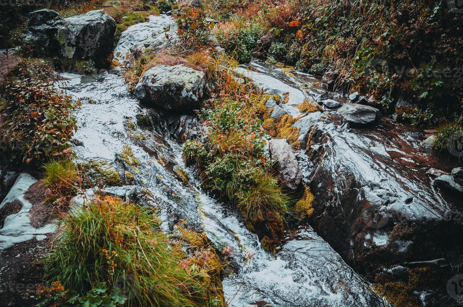 Herbst in den Bergen von Krasnaya Polyana foto