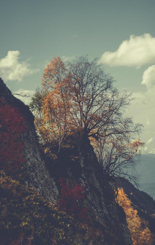 Herbst in den Bergen von Krasnaya Polyana foto