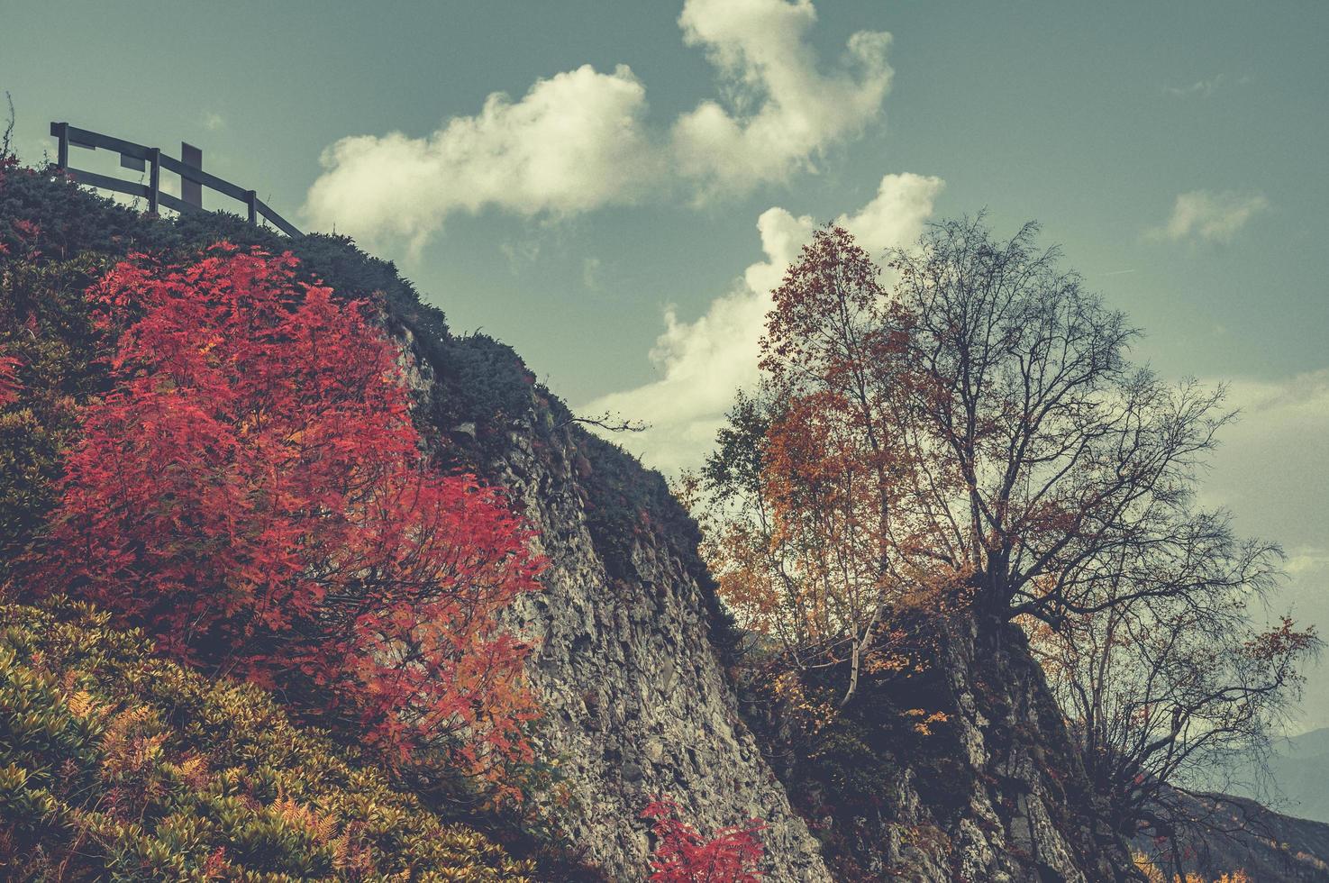 Herbst in den Bergen von Krasnaya Polyana foto