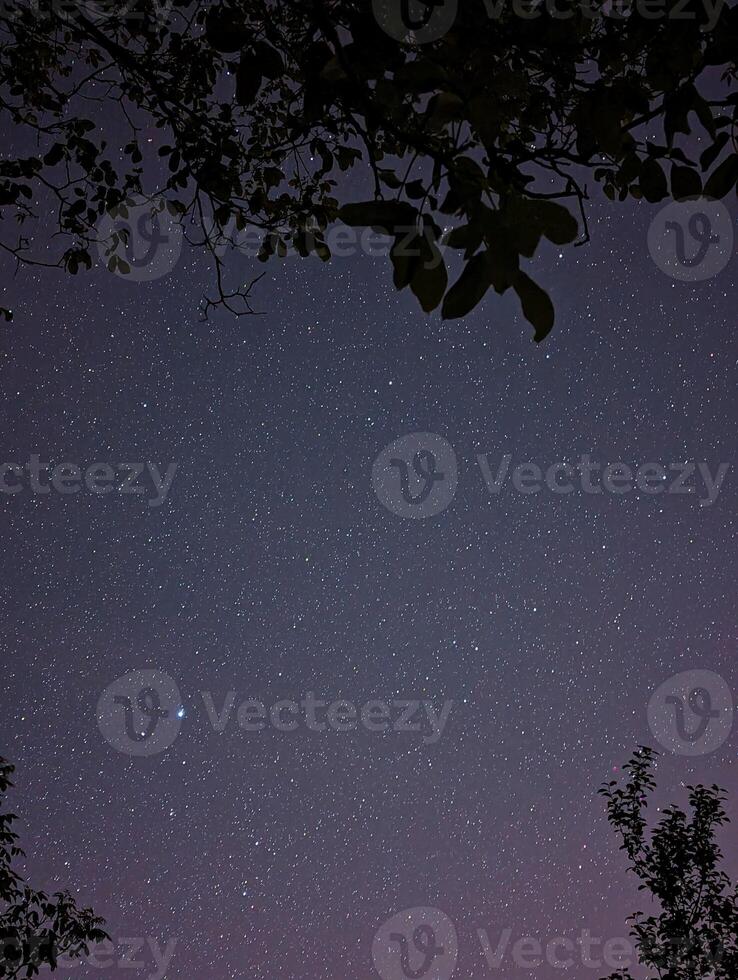 Nacht Himmel, Sterne, Universum Hintergrund, Astrofotografie, Kosmos Hintergrund, milchig Weg und Planeten beim Klenice, Kroatien, hrvatsko Zagorje foto