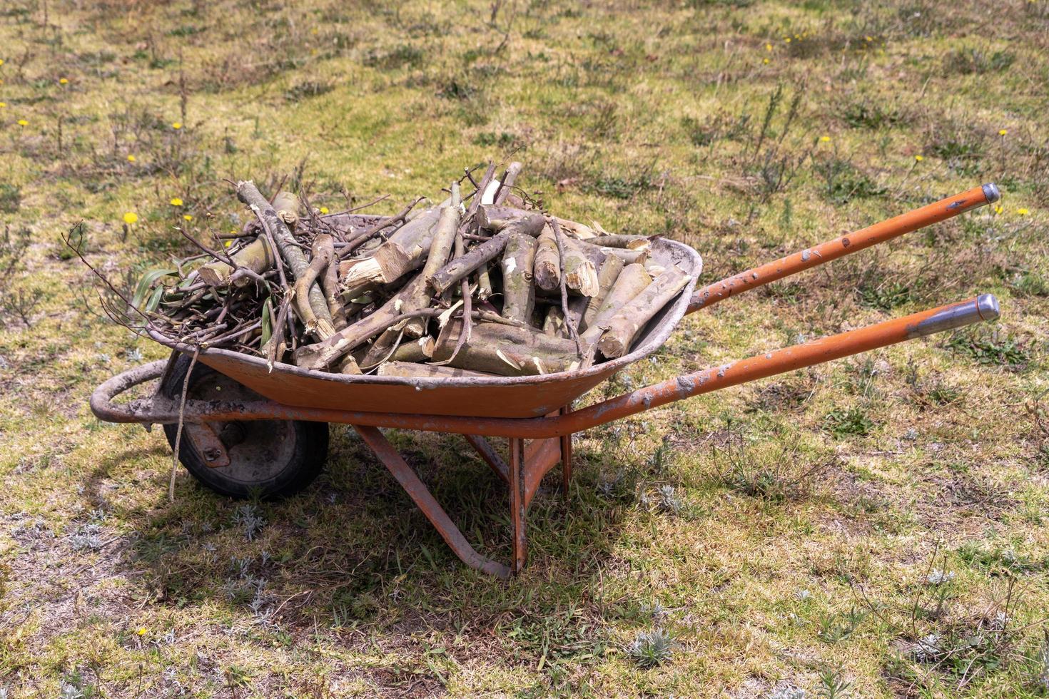 eine Schubkarre voller Brennholz foto