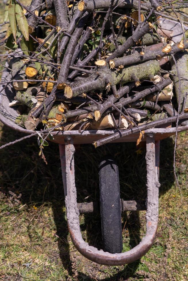 eine Schubkarre voller Brennholz foto