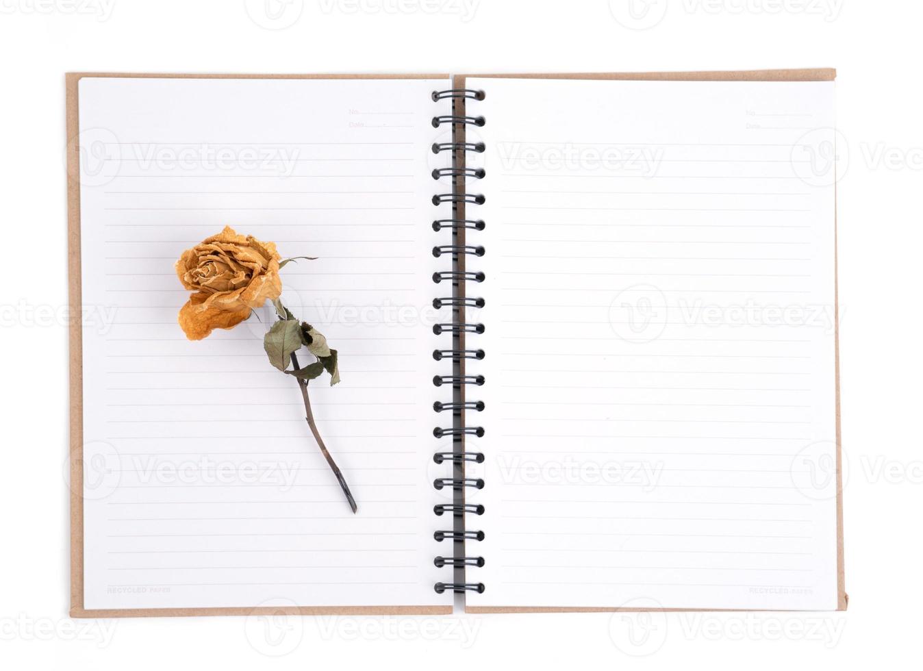 getrocknete Rosenblüte mit Bleistift auf Notizbuch foto
