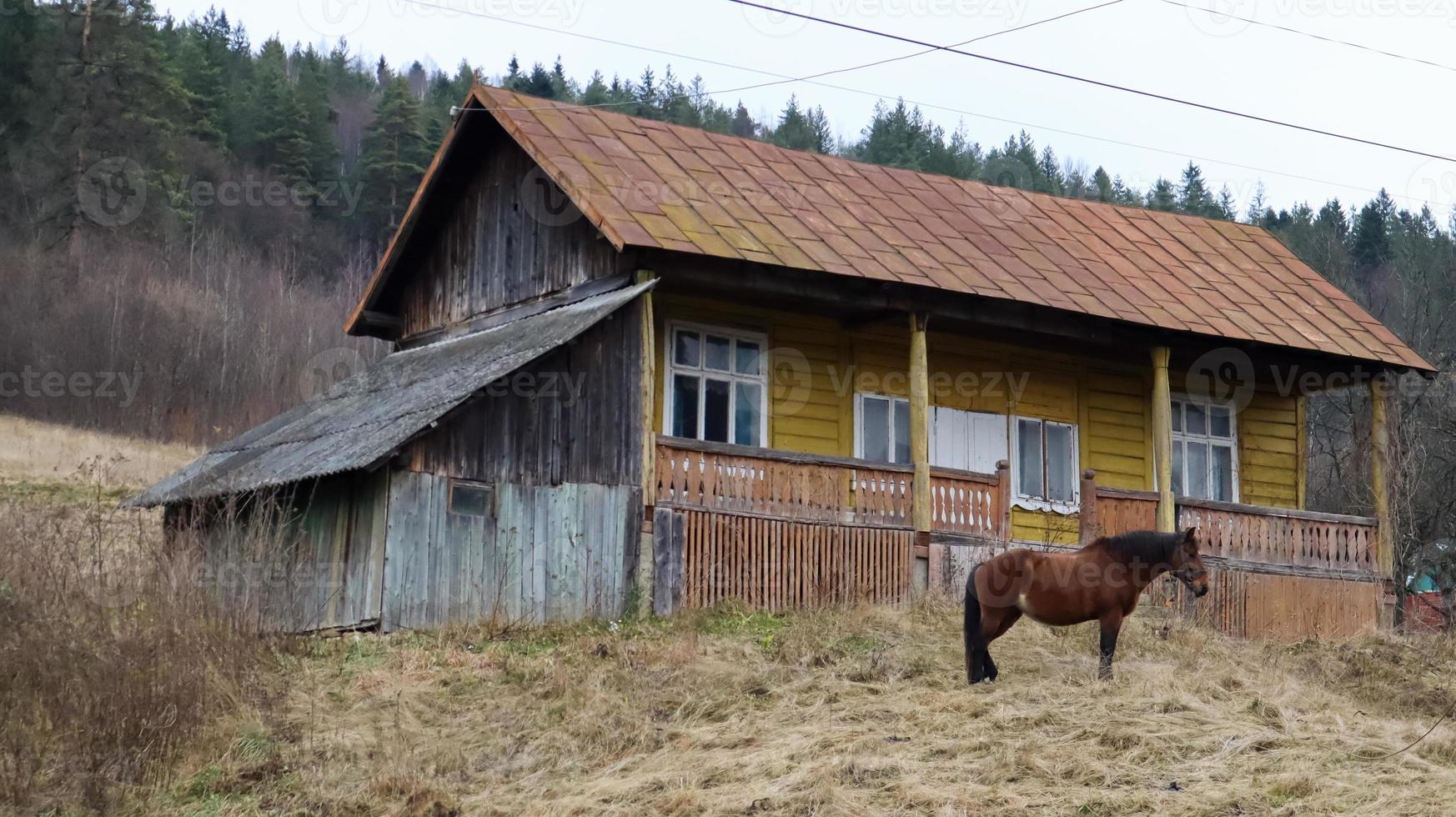 braunes Pferd in der Nähe eines alten Dorfhauses aus Holz. In der Nähe gibt es einen schönen Wald und Berge. Ukraine, Jaremtsche - 20. November 2019 foto