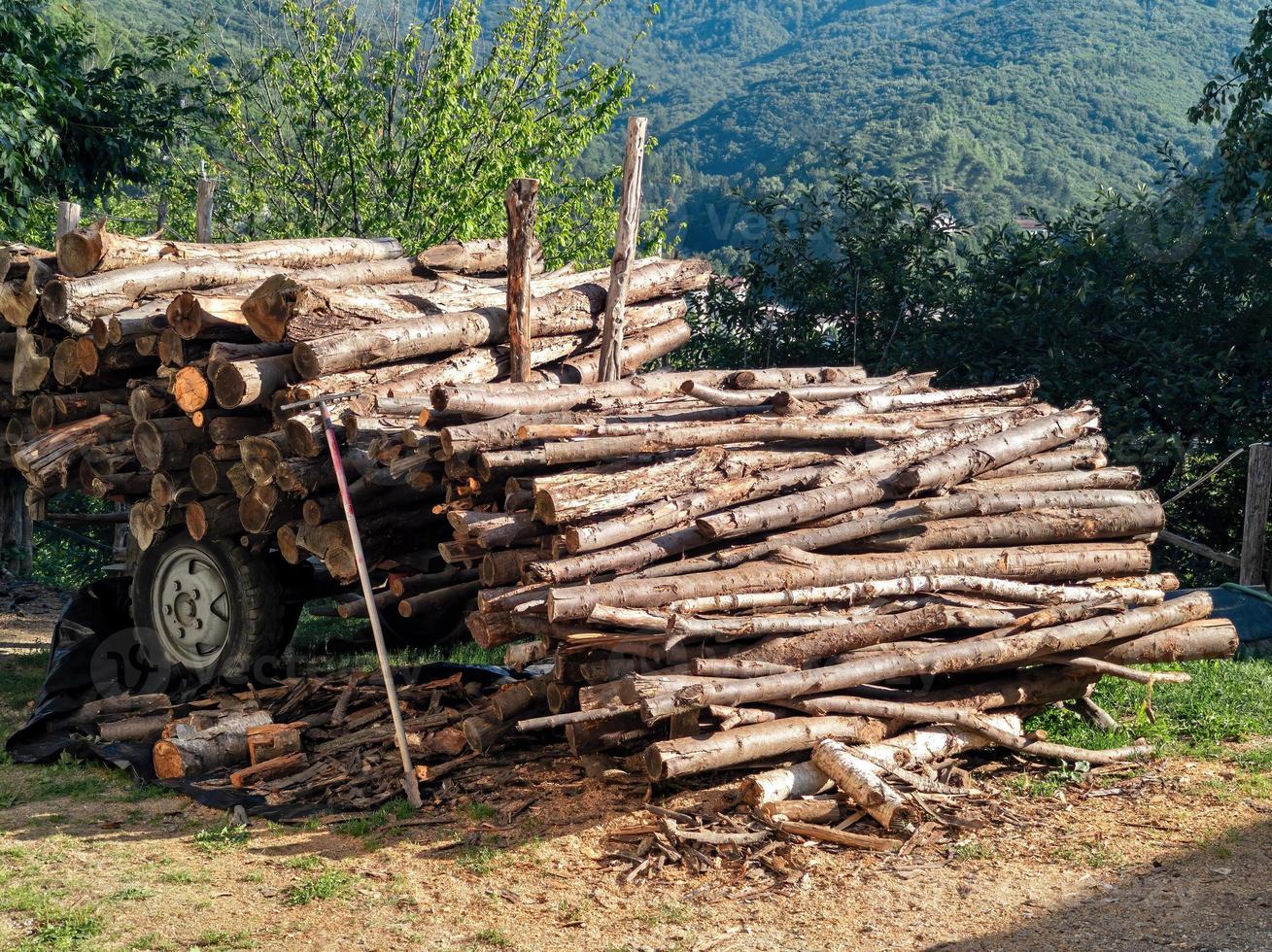 Holzhaufen geschnitten und gebrauchsfertig oder brennen foto