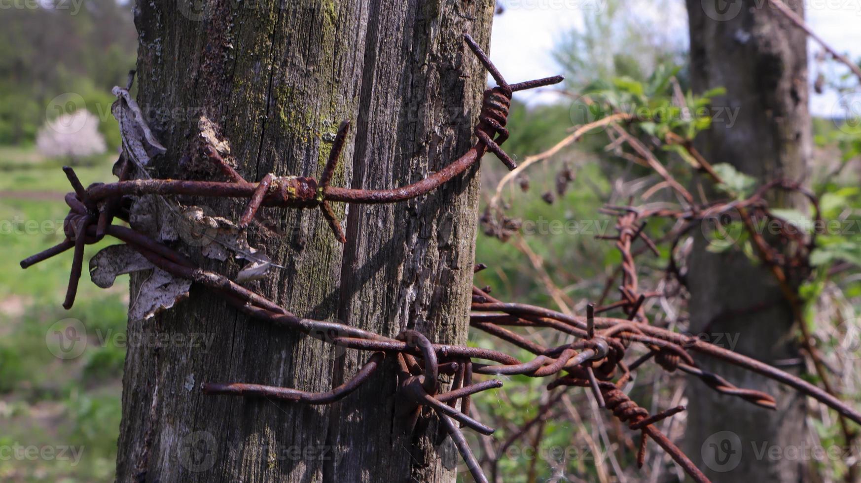 alter Holzzaun mit rostigem Stacheldraht. ein Zaun neben einer Landstraße. Vintage-Look. einen Holzpfosten um den Weidezaun herum. foto