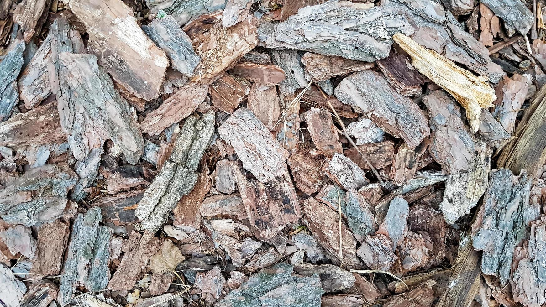Hintergrundtextur dekorative Baumrinde. Berg der alten Baumrinde hautnah. Erdboden bedeckt mit Kompostmulch Fragment von Baumrindenfragmenten foto