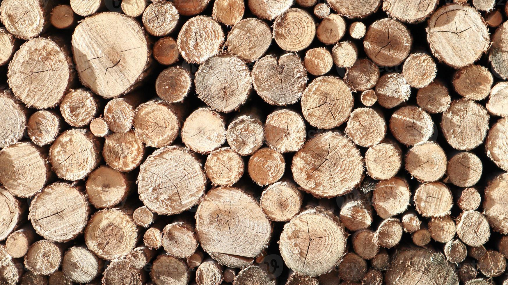 Bauholz, Holztapete, Natur. Stapel von Protokollen. ein Haufen Brennholz in der Nähe. fertiges Brennholz und ein Essstäbchen oder Stecklinge für einen Kamin. Wald für Winter- und Brennholzhintergrund. foto
