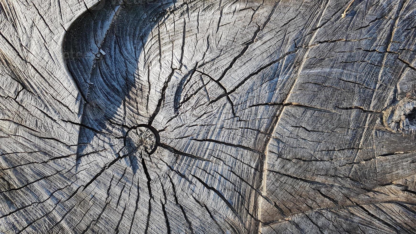 Holz alter Stumpf, Holz Textur Hintergrund. gesägter Baum mit Rissen. rund gefällter Baum mit Jahresringen als Holzstruktur foto
