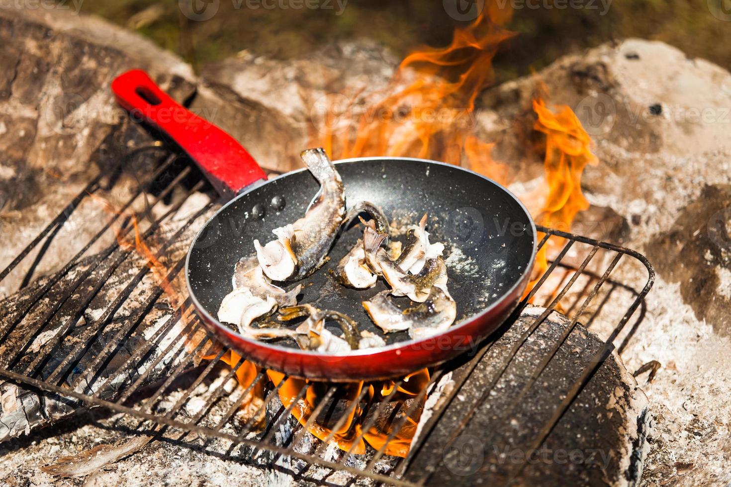 kleine Forellen am Lagerfeuer kochen foto