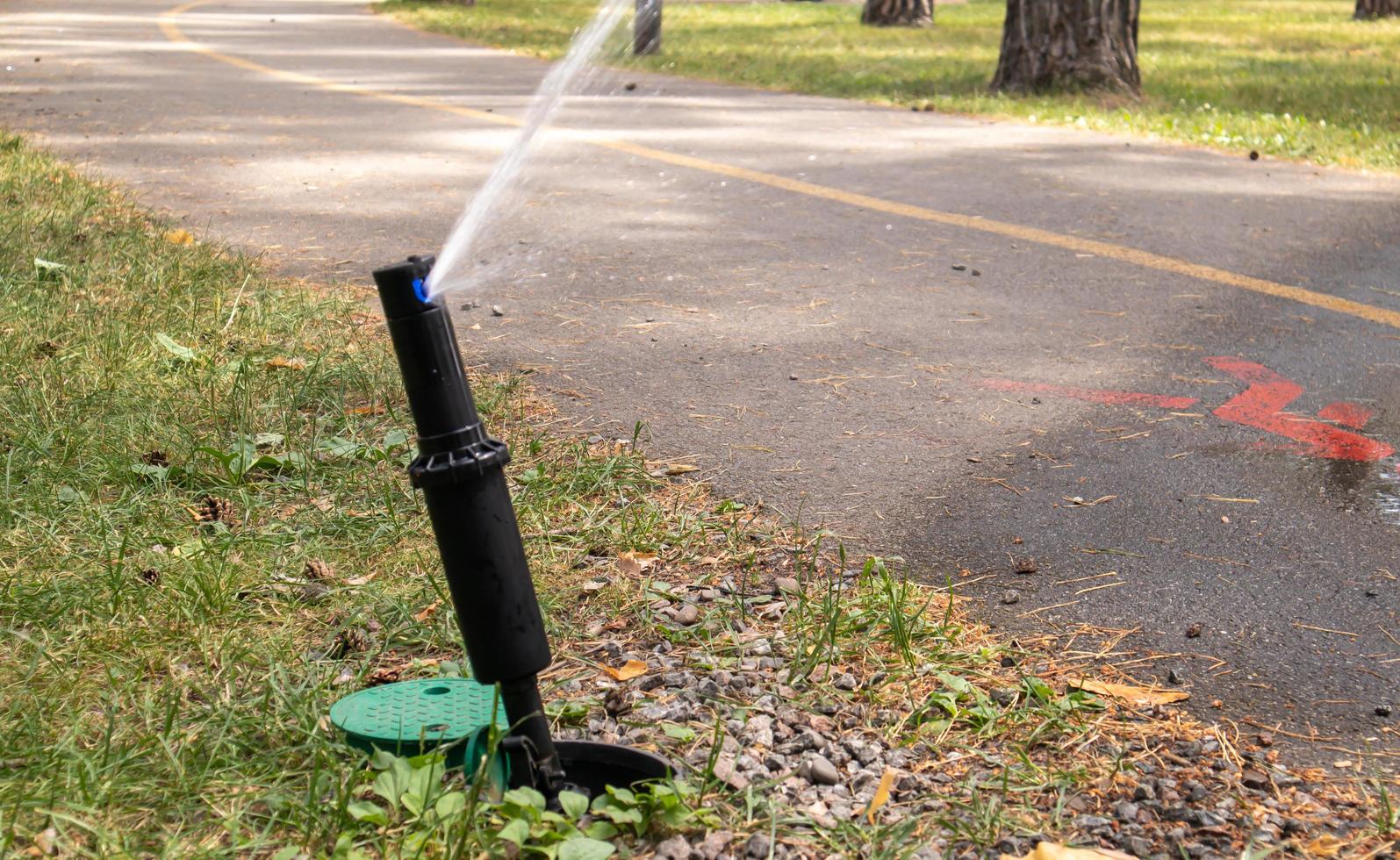 Rasenbewässerungssystem, das in einem grünen Park arbeitet. Besprühen Sie den Rasen bei heißem Wetter mit Wasser. automatischer Sprinkler. der automatische Bewässerungssprinklerkopf bewässert den Rasen. intelligenter Garten. foto