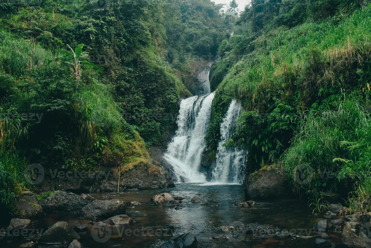 Wasserfallblick mitten im Wald foto