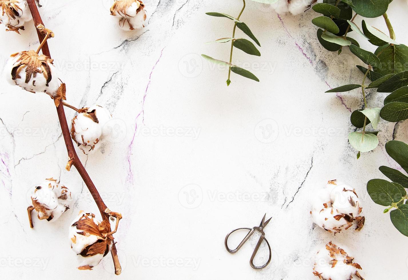 Eukalyptusblätter und Baumwollblüten foto