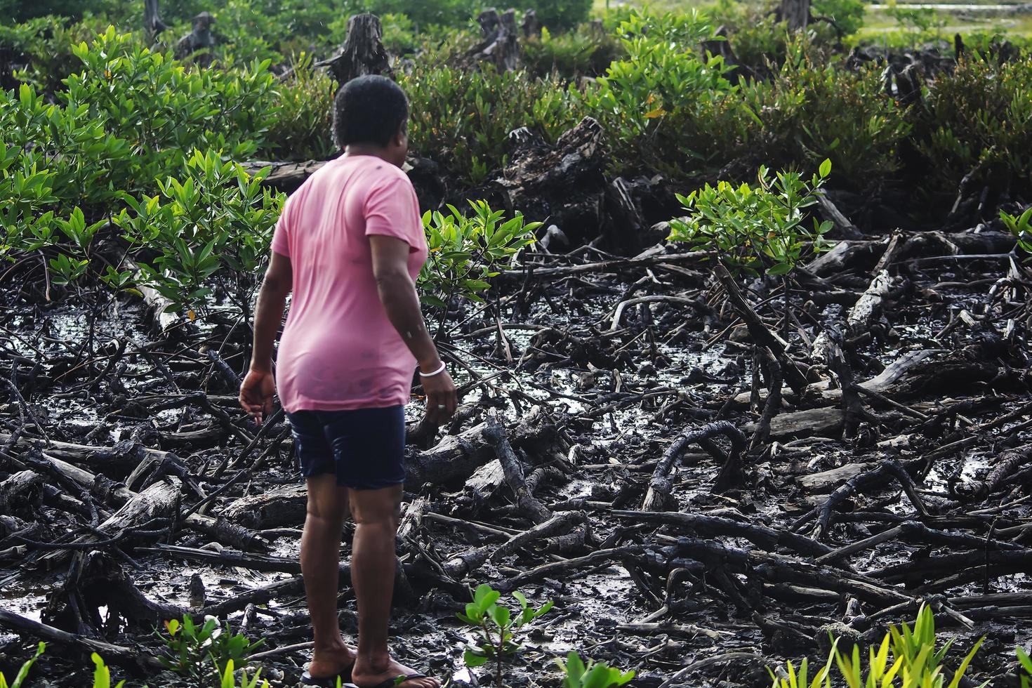 Einheimische Frau steht auf Mangrovenwald, die abgeholzt und verbrannt wurden foto