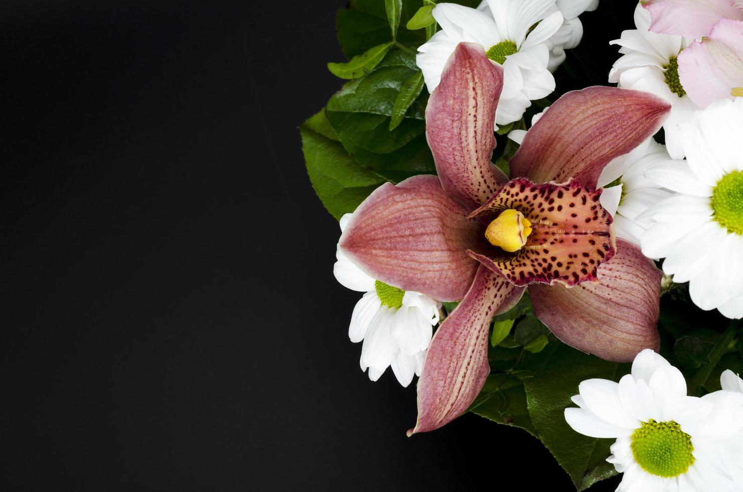 helle Frühlingsblumen, Komposition auf schwarzem Hintergrund. foto