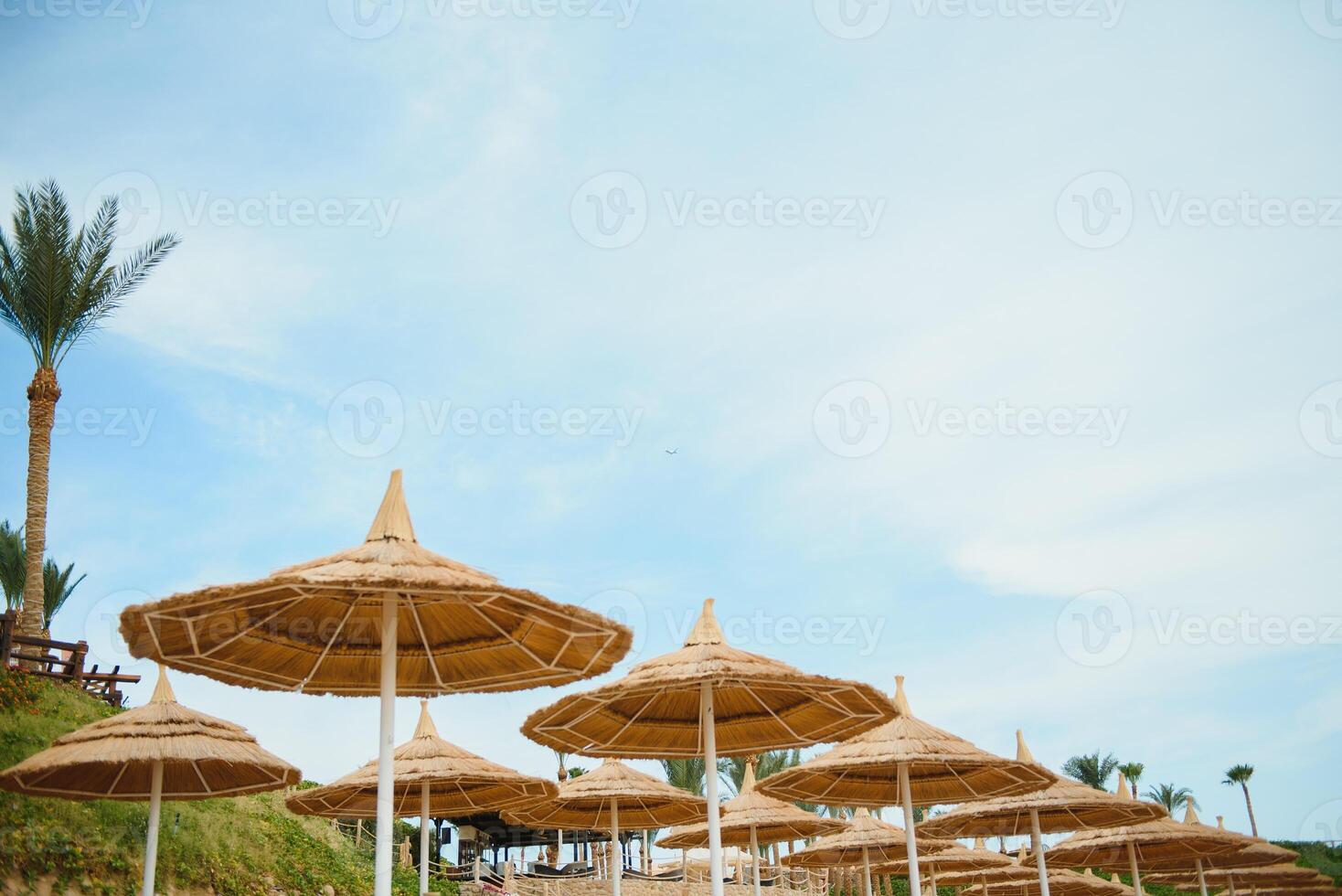 Regenschirm und Deck Stuhl um draussen Schwimmen Schwimmbad im Hotel Resort mit Meer Ozean Strand und Kokosnuss Palme Baum foto