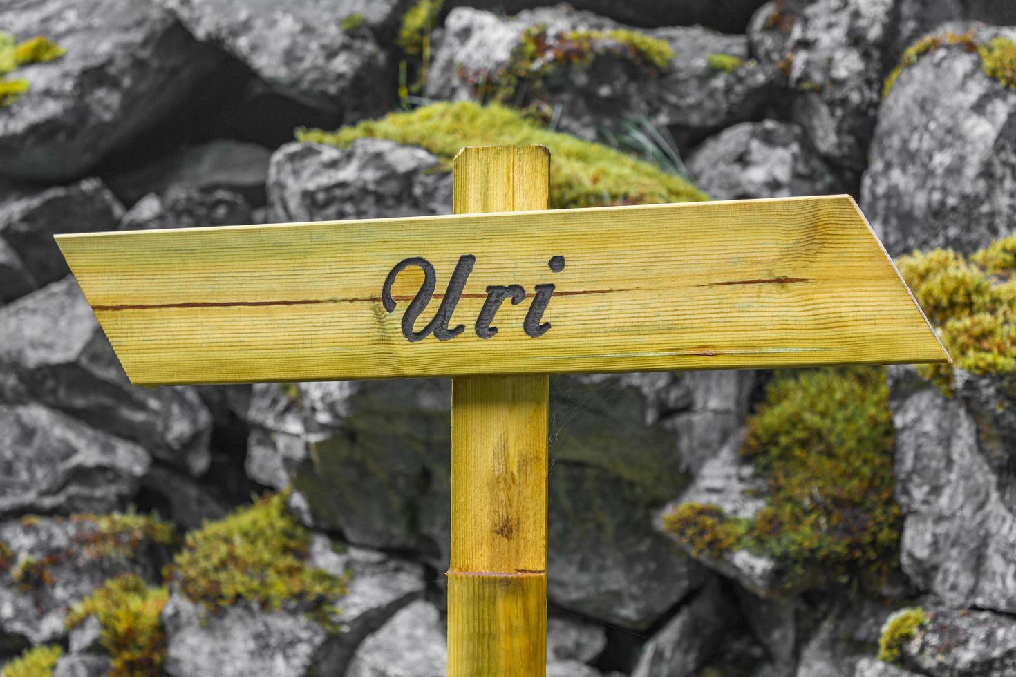 beschilderung auf wanderweg natur wald landschaft uri utladalen norwegen. foto