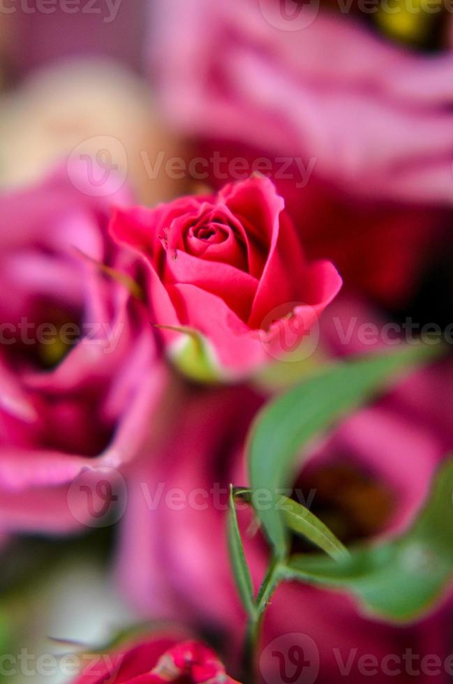 rosa Rosen im Blumenstraußhintergrund. Retro-Filter foto