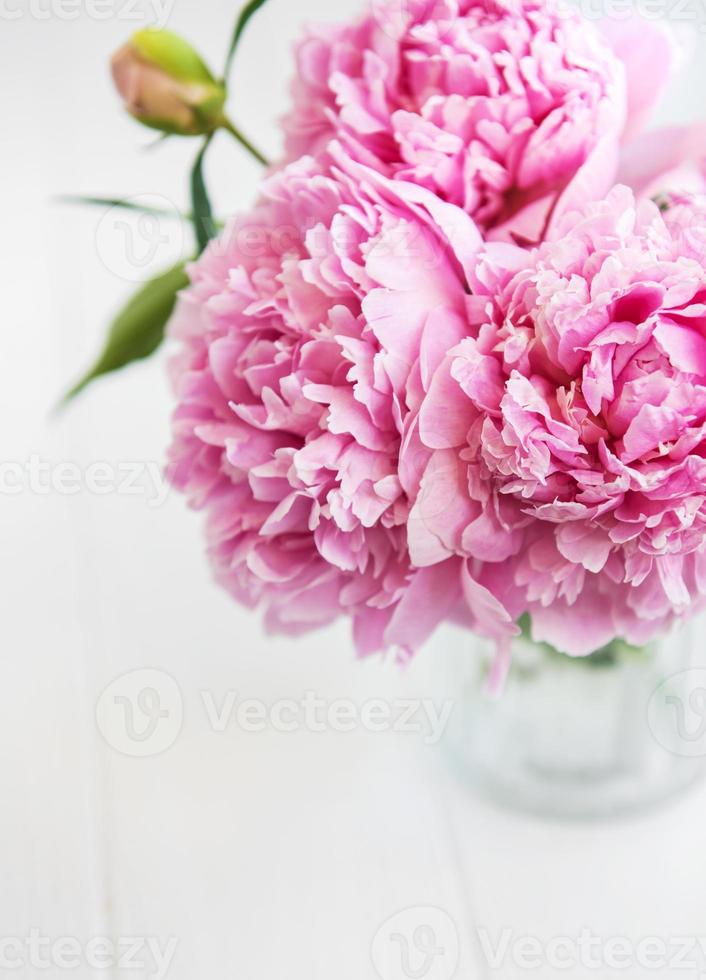 rosa Pfingstrosenblüten foto