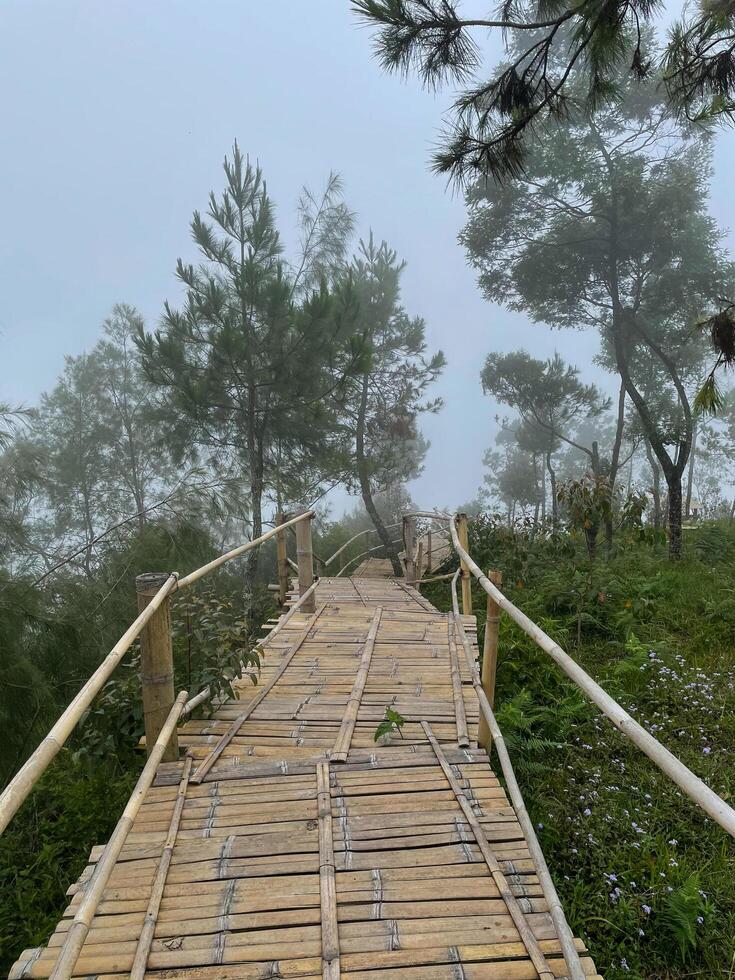 eine Bambusbrücke über das Tal. nebliger Wald, der eiskalt und dennoch friedlich aussieht. der angenehme Ort, um zu entkommen. foto