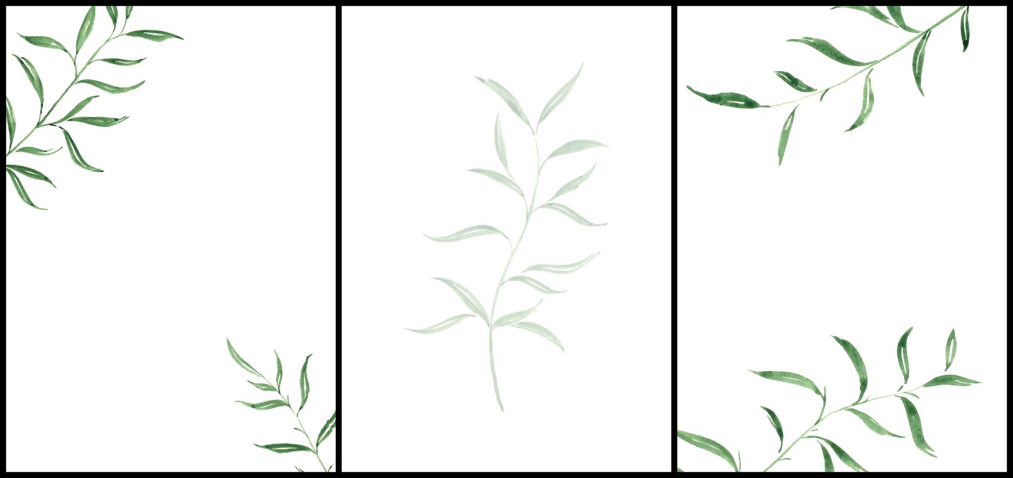 Hochzeitsschablone mit abstraktem Hintergrund. Vektorhintergrund mit grünem Blatt und weißem Hintergrund. Blatt kreativer Hintergrund mit natürlicher Blattzusammensetzung foto