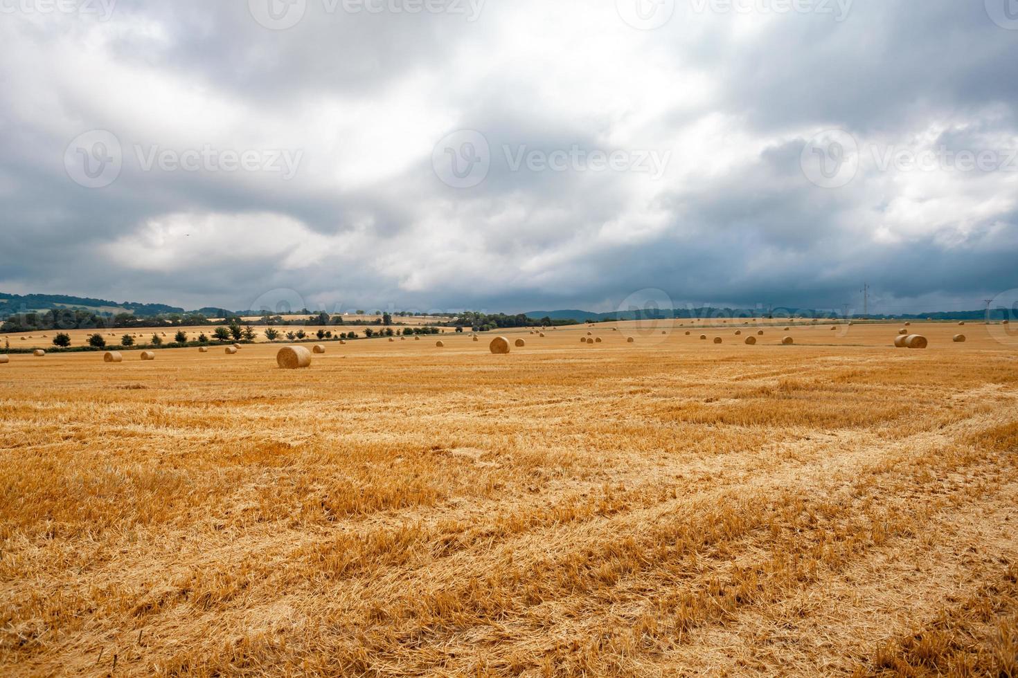 Rundballen trockenes Stroh auf landwirtschaftlichen Flächen foto