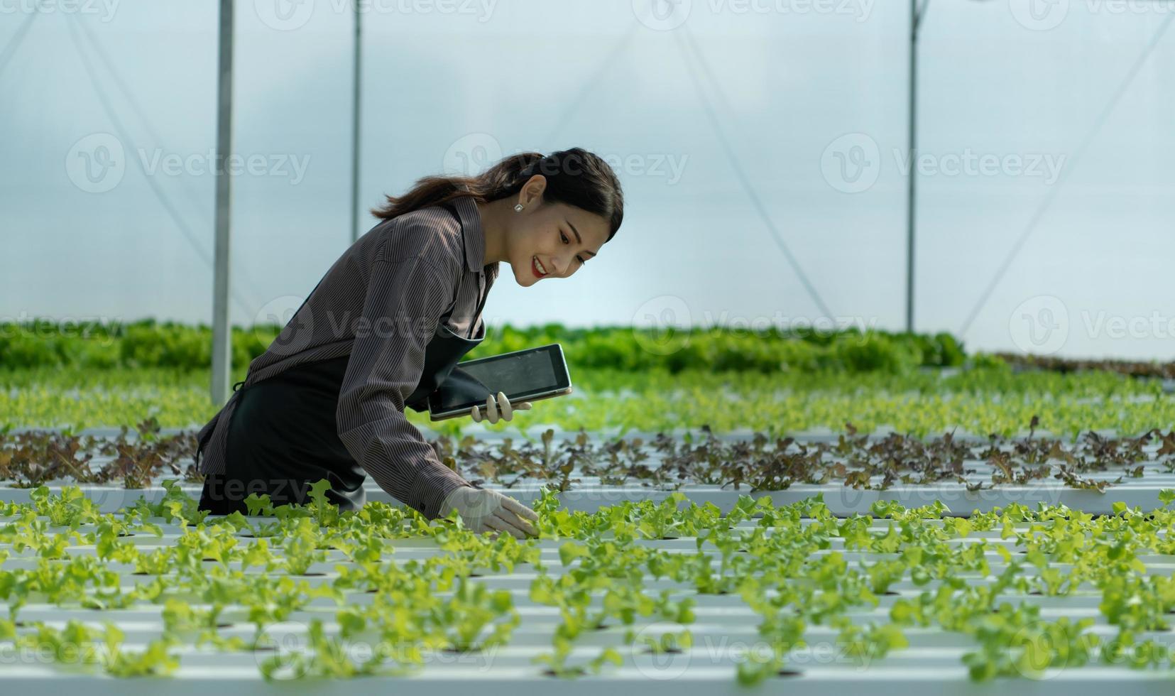 eine neue Generation asiatischer junger Frauen mit Bio-Gemüsegeschäft foto