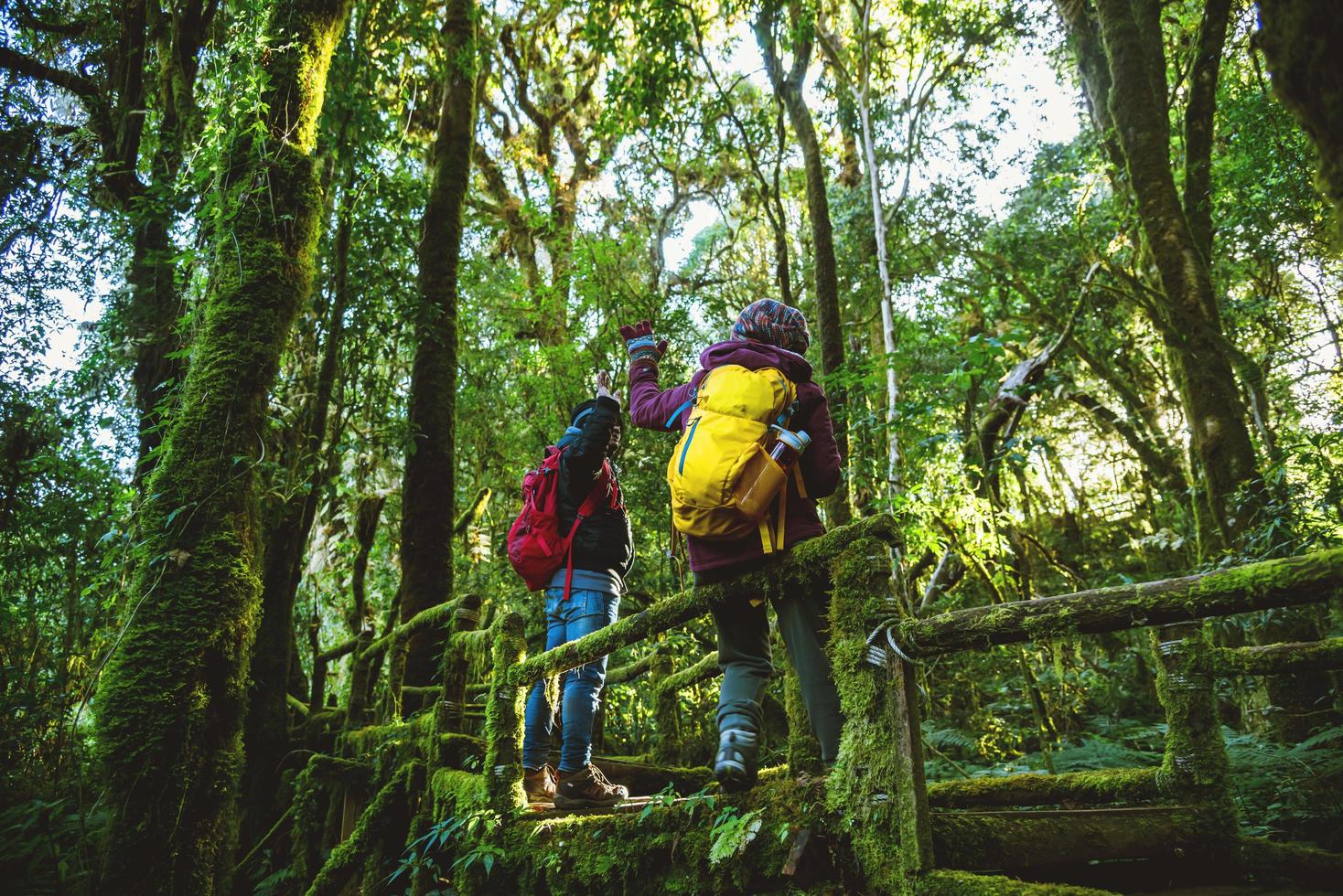 reisende paare, entspannen im winter.genießen sie wandern wandern reisen, um die natur im regenwald zu studieren. im angka, chiangmai foto