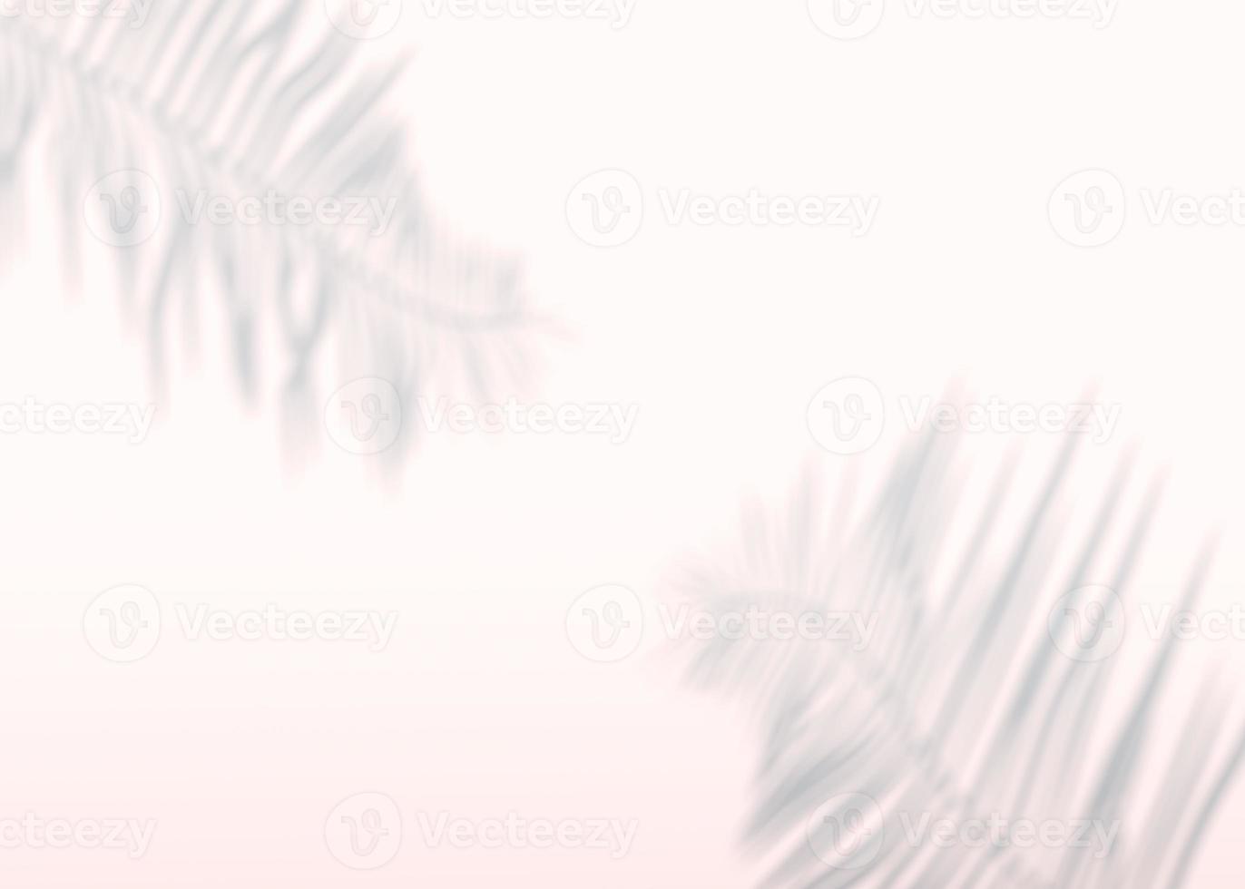 abstrakter Hintergrund der Schatten Palmblätter an der Wand. 3D-Rendering. foto