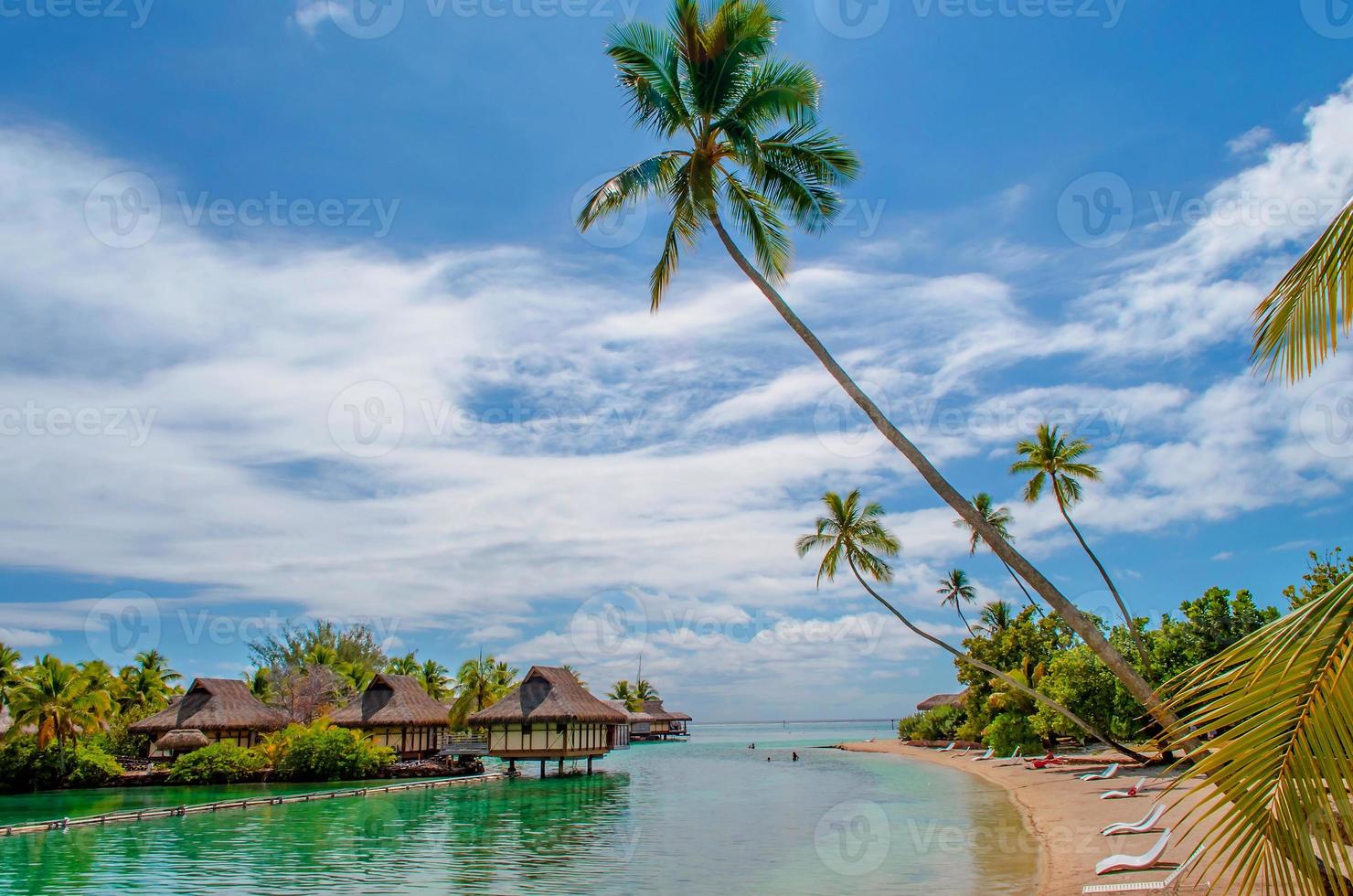 Wunderschöner tropischer Paradiesstrand mit weißem Sand und Kokospalmen auf grünem Meerespanorama. foto