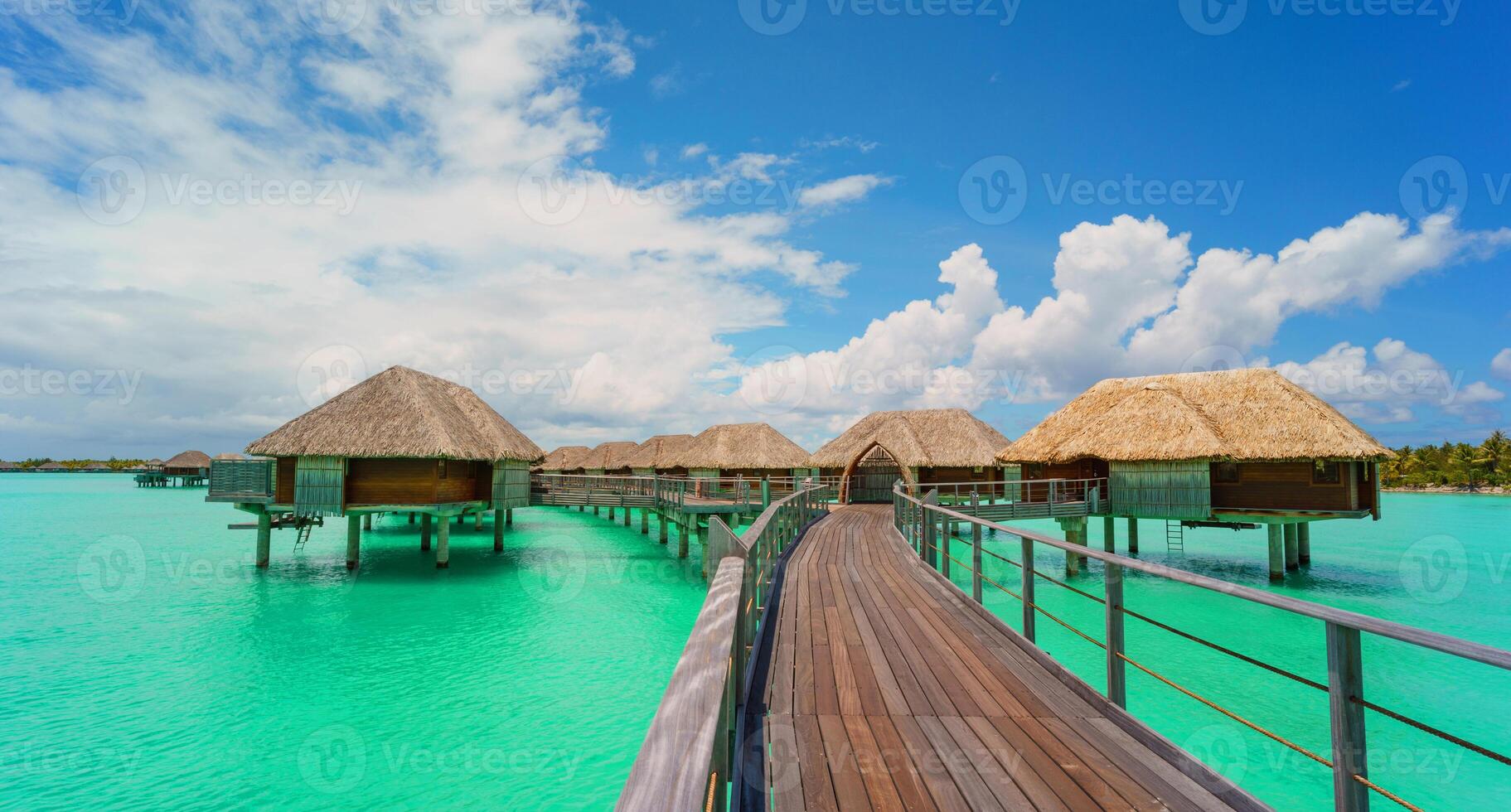 Wunderschöner tropischer Paradiesstrand mit weißem Sand und Kokospalmen auf grünem Meerespanorama. foto