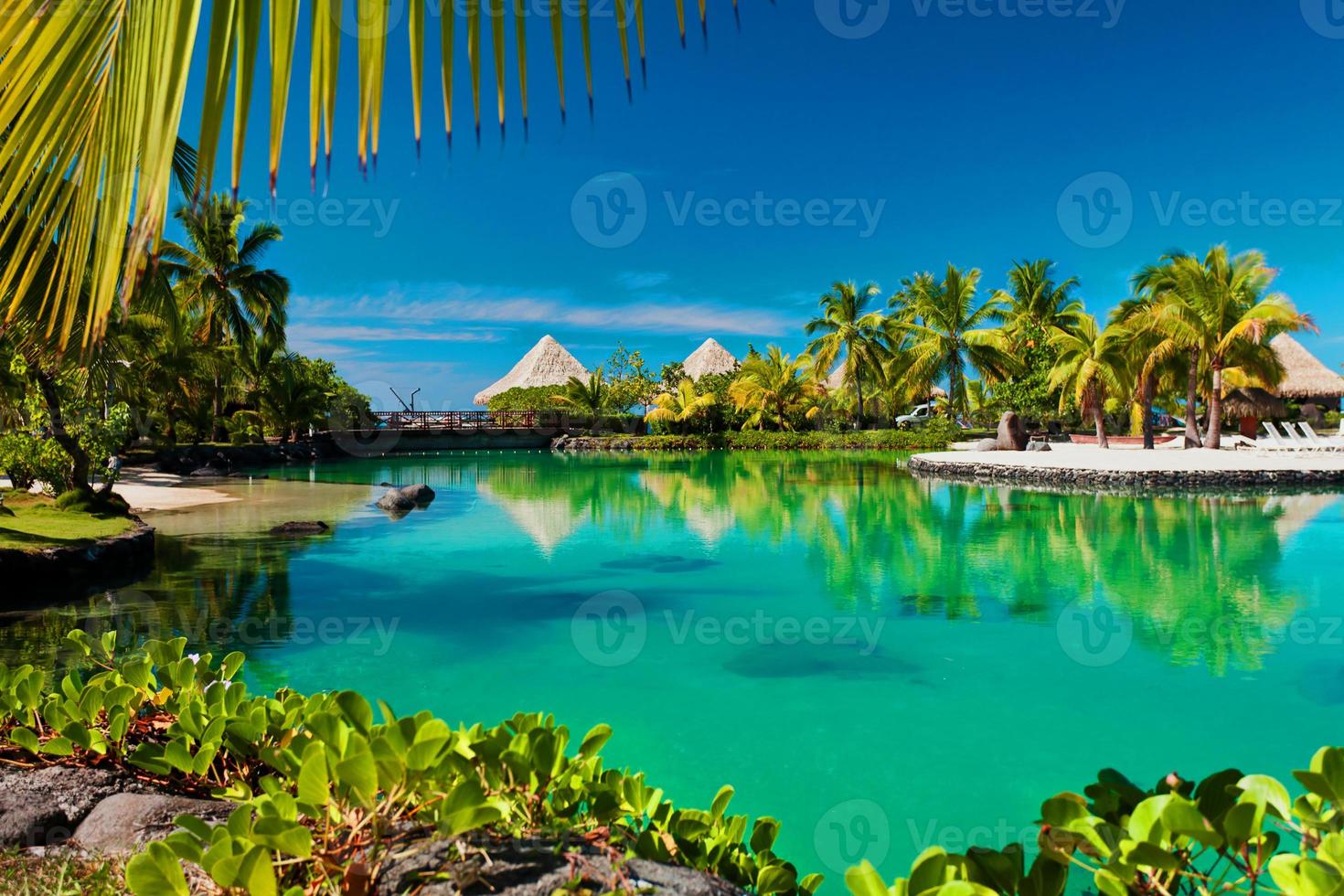 Wunderschöner tropischer Paradiesstrand mit weißem Sand und Kokospalmen auf grünem Meerespanorama. foto