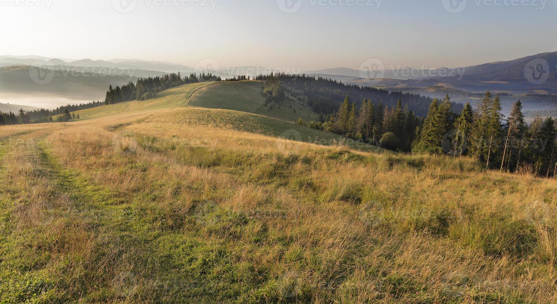 schöne Landschaft der Karpaten am frühen Morgen bei Sonnenaufgang und der Straße, die durch den Berghügel führt foto