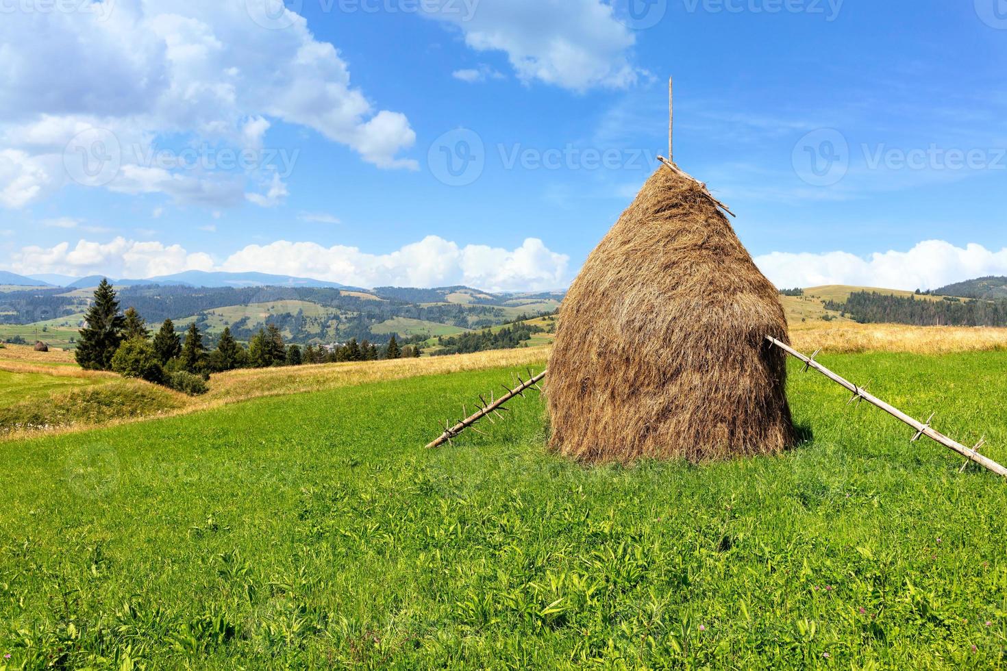 Heuhaufen in den Karpaten auf einer grünen Wiese vor der Kulisse von Berghügeln. foto