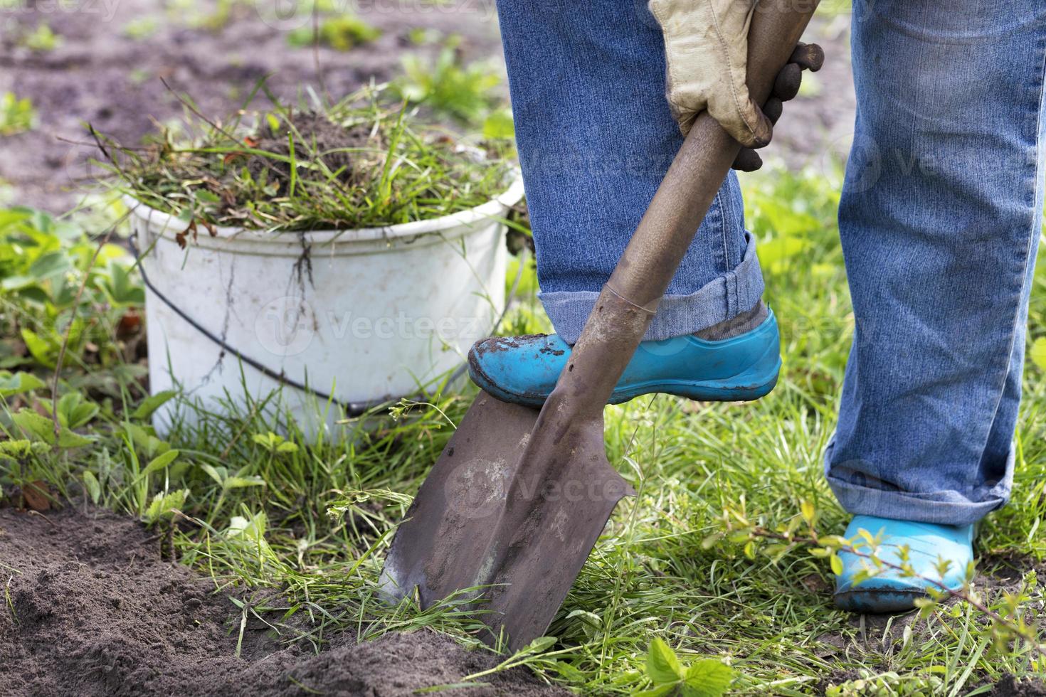 Bauer gräbt einen Garten und entfernt Unkraut foto