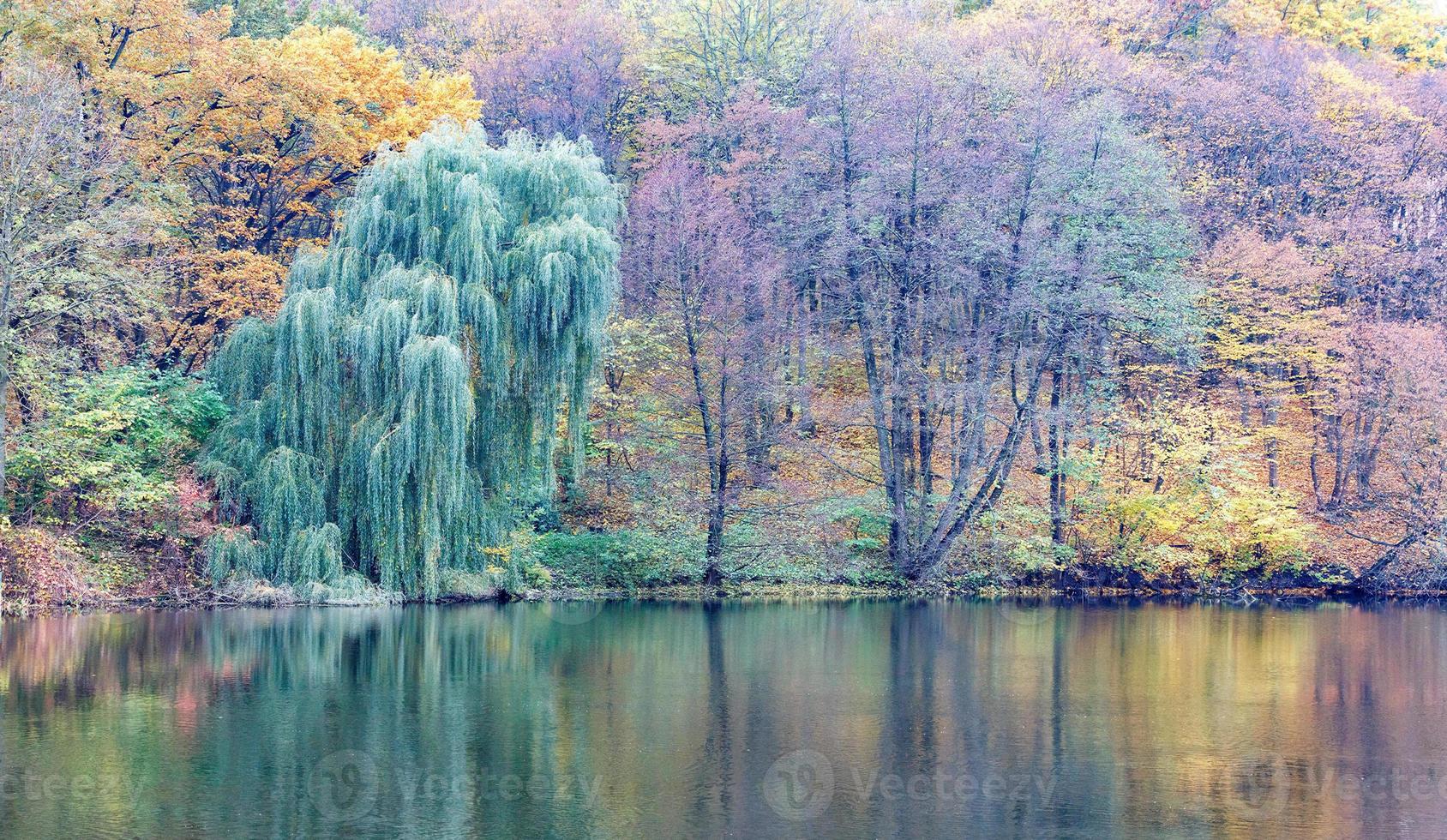 Pastellfarben des Herbstparks und des Waldsees. foto