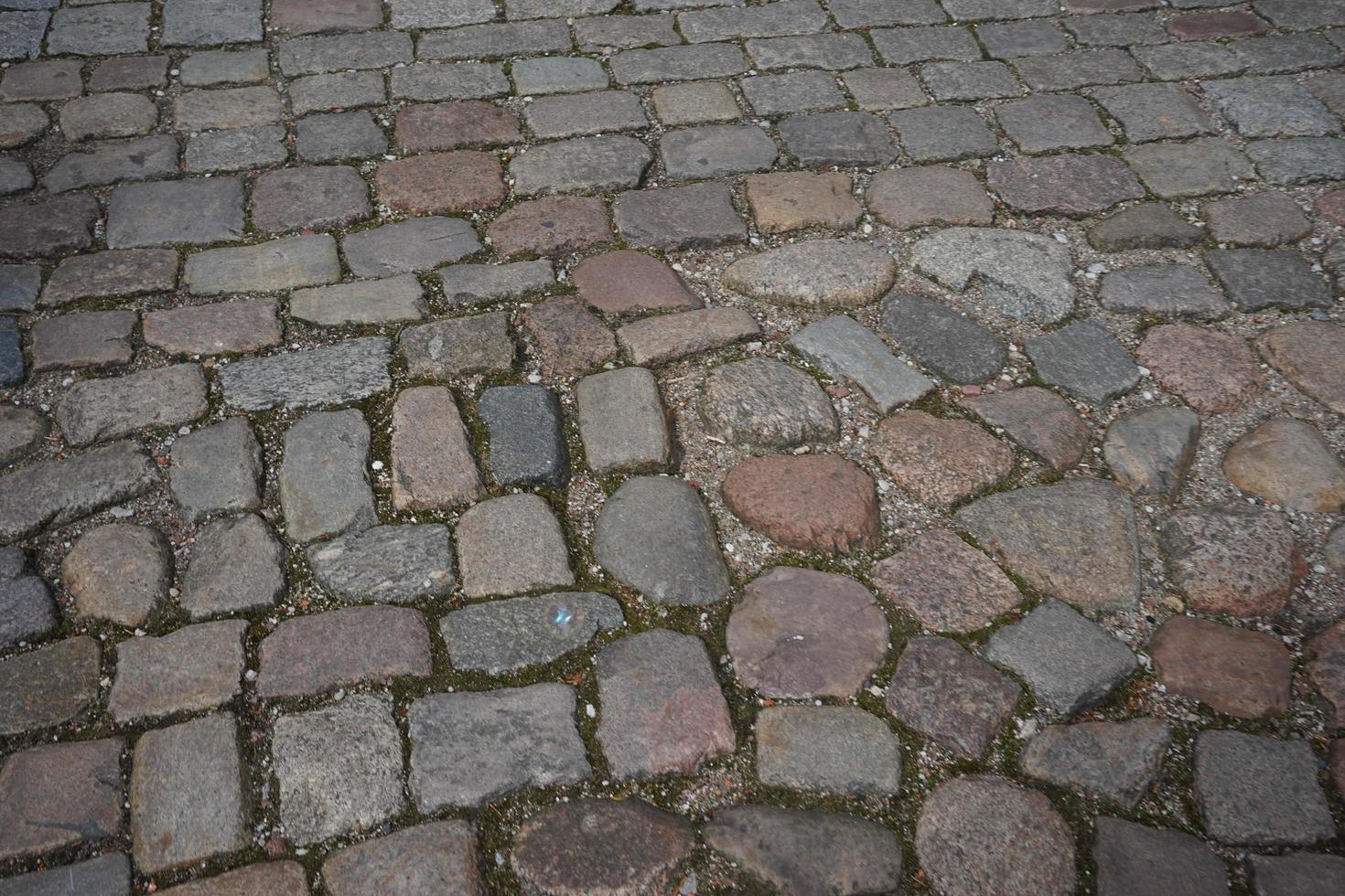 die gepflasterte antike straße in kaliningrad foto