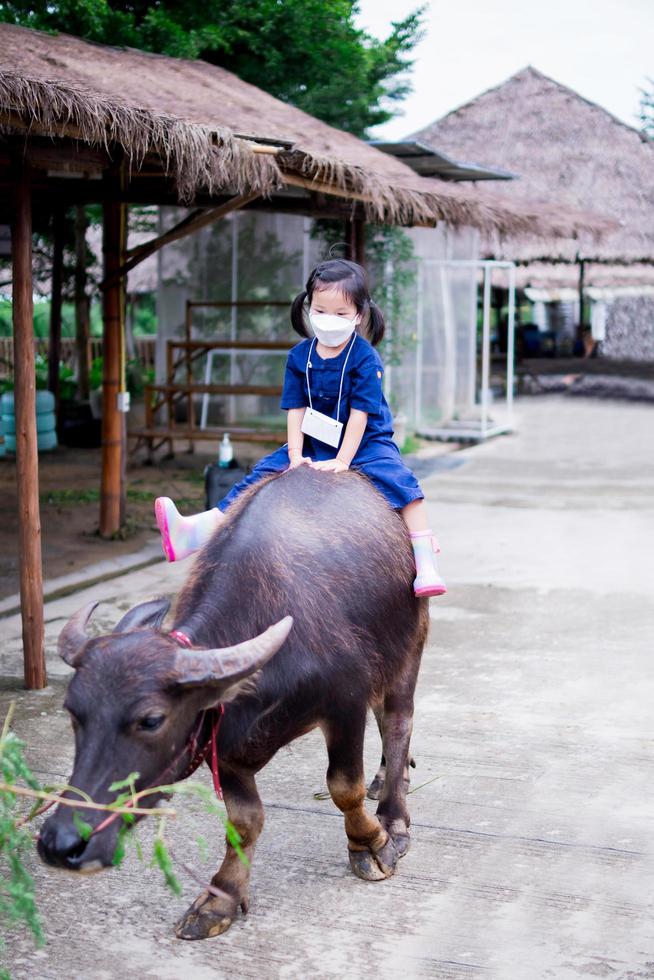 Mädchen sitzt auf dem schwarzen Büffel des Rückens. Kind trägt weiße 4D-Gesichtsmaske. Kind trägt blaue Bauernuniform und Stiefel. vertikales Bild. foto