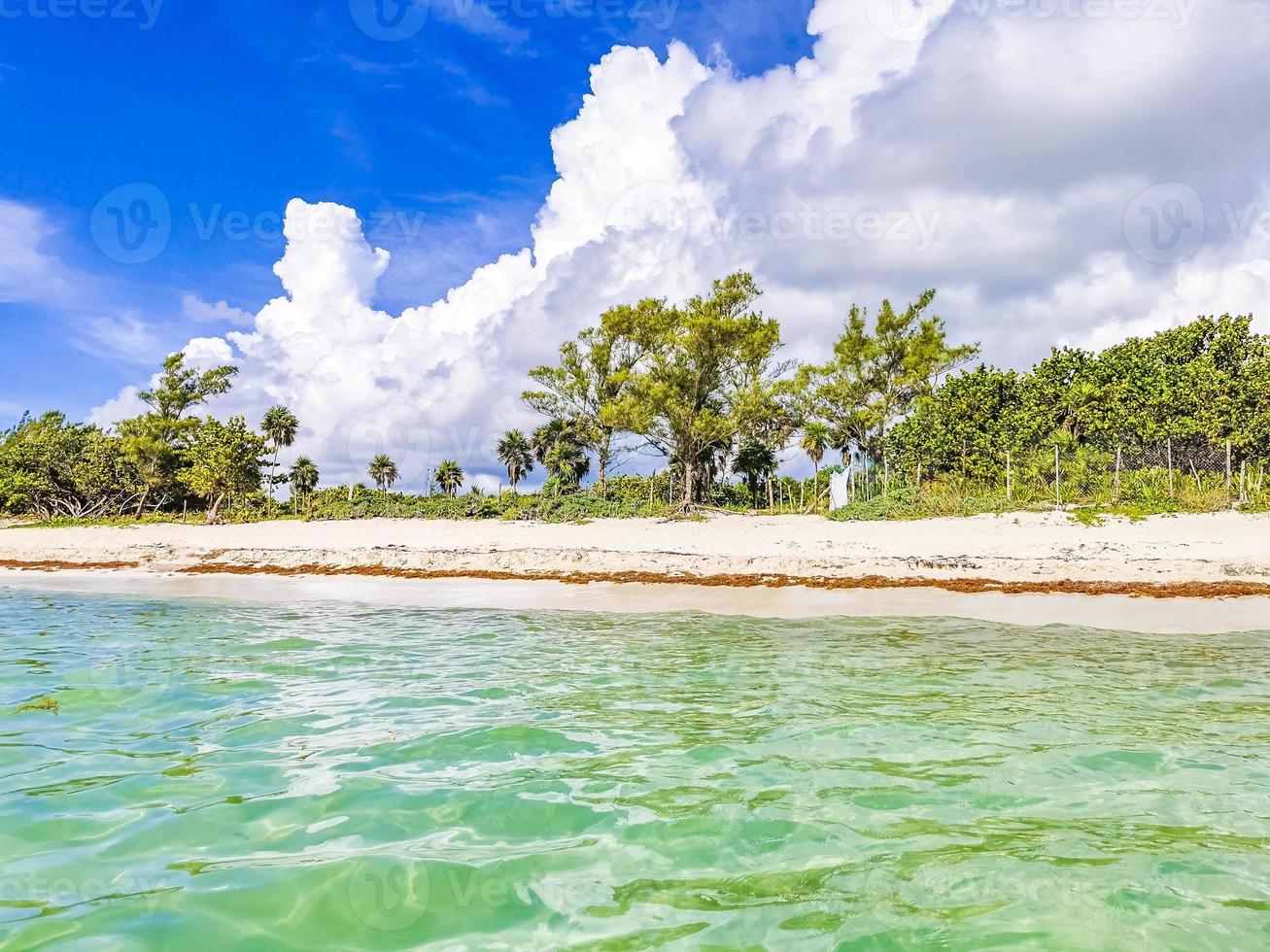 tropischer mexikanischer Naturstrand mit Wald Playa del Carmen Mexiko. foto